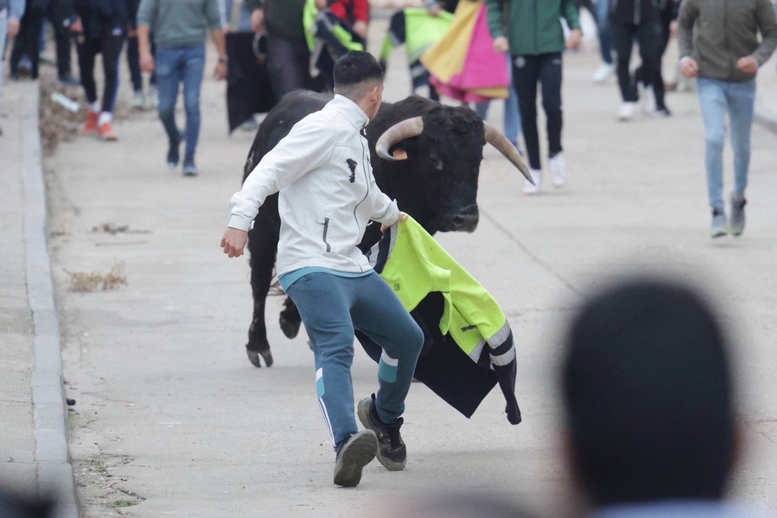 El encierro en Pollos, en imágenes