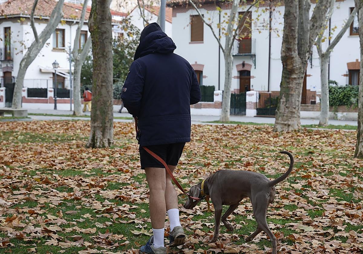 Un hombre pasea a su mascota por el césped del parque del Salón.