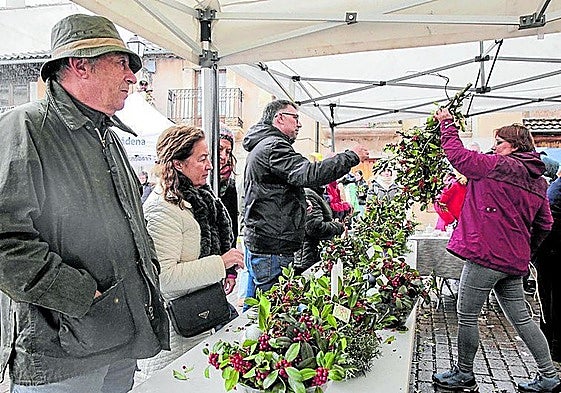 Feria del Acebo en Prádena.
