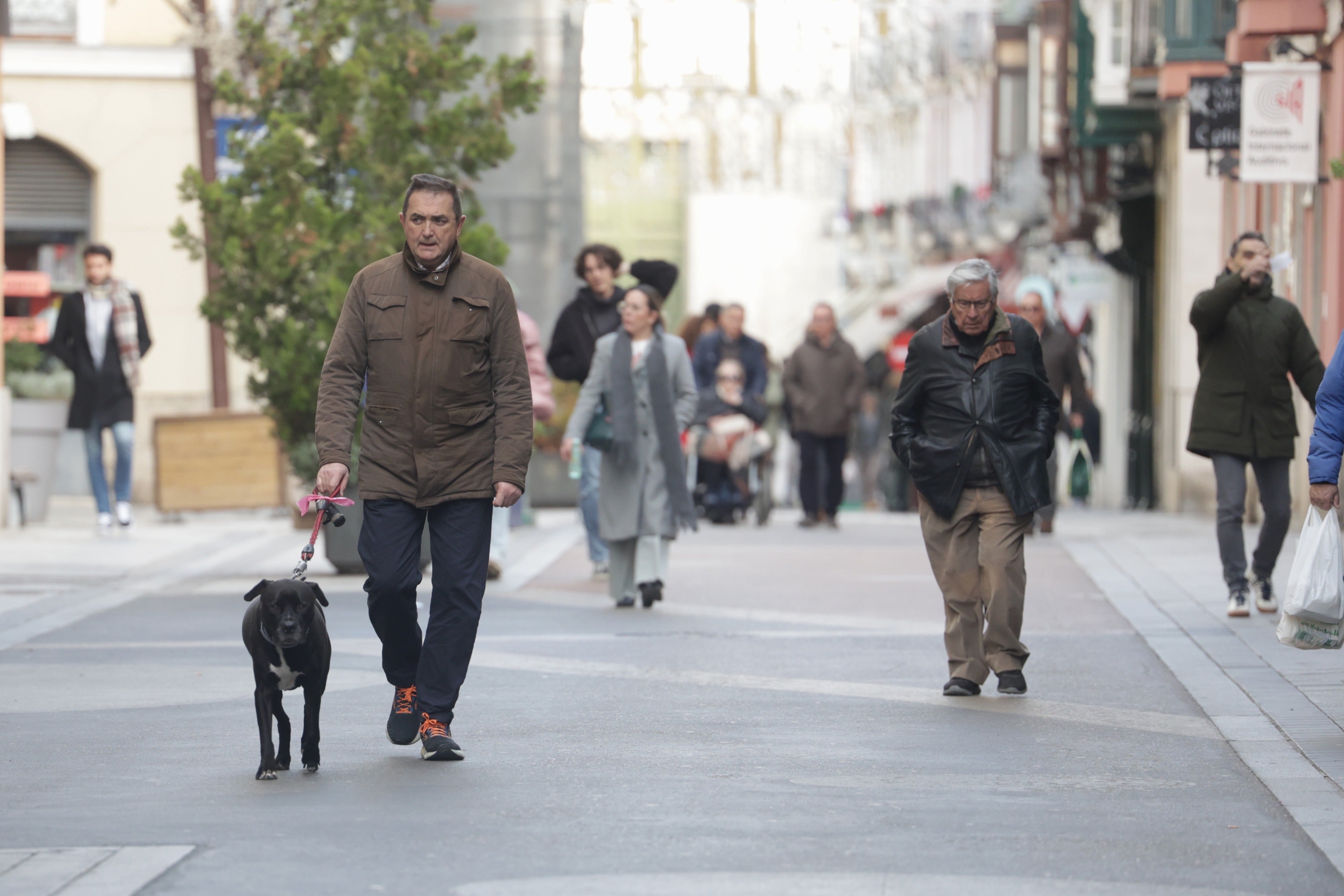 Las imágenes del mercado y el ambiente navideño en Valladolid
