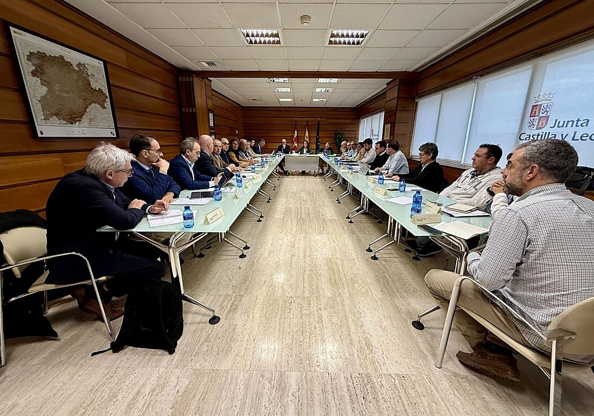Primera reunión del comité técnico sobre peste porcina africana celebrada este martes.