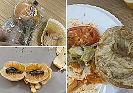 Fotografías de algunos de los alimentos por los que se quejan los estudiantes de La Santa Espina.