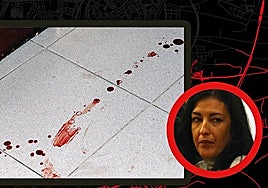 &laquo;Malos tratos&raquo;, dos drogadictos y una cuchillada mortal &laquo;involuntaria&raquo; en Delicias