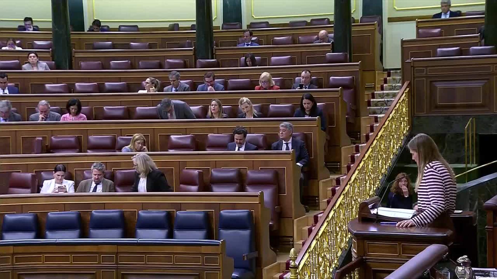 El Gobierno pone el foco en la relación de las oscilaciones con el apagón