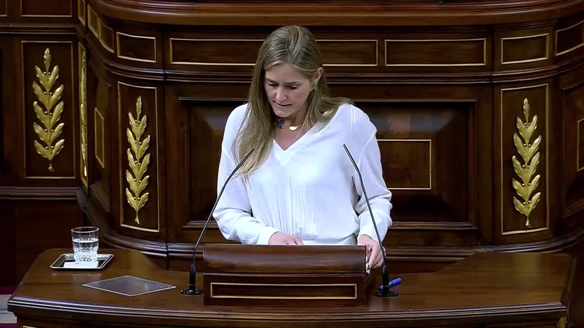 Aagesen pide "responsabilidad política y altura de miras" en la votación del decreto antiapagón