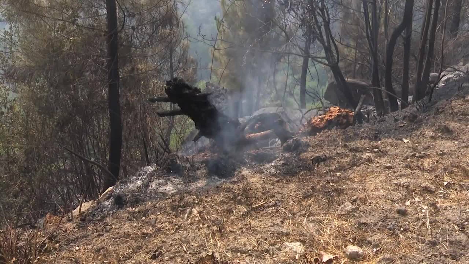 "Optimismo" en incendio de Cuevas del Valle (Ávila), que ha duplicado el operativo