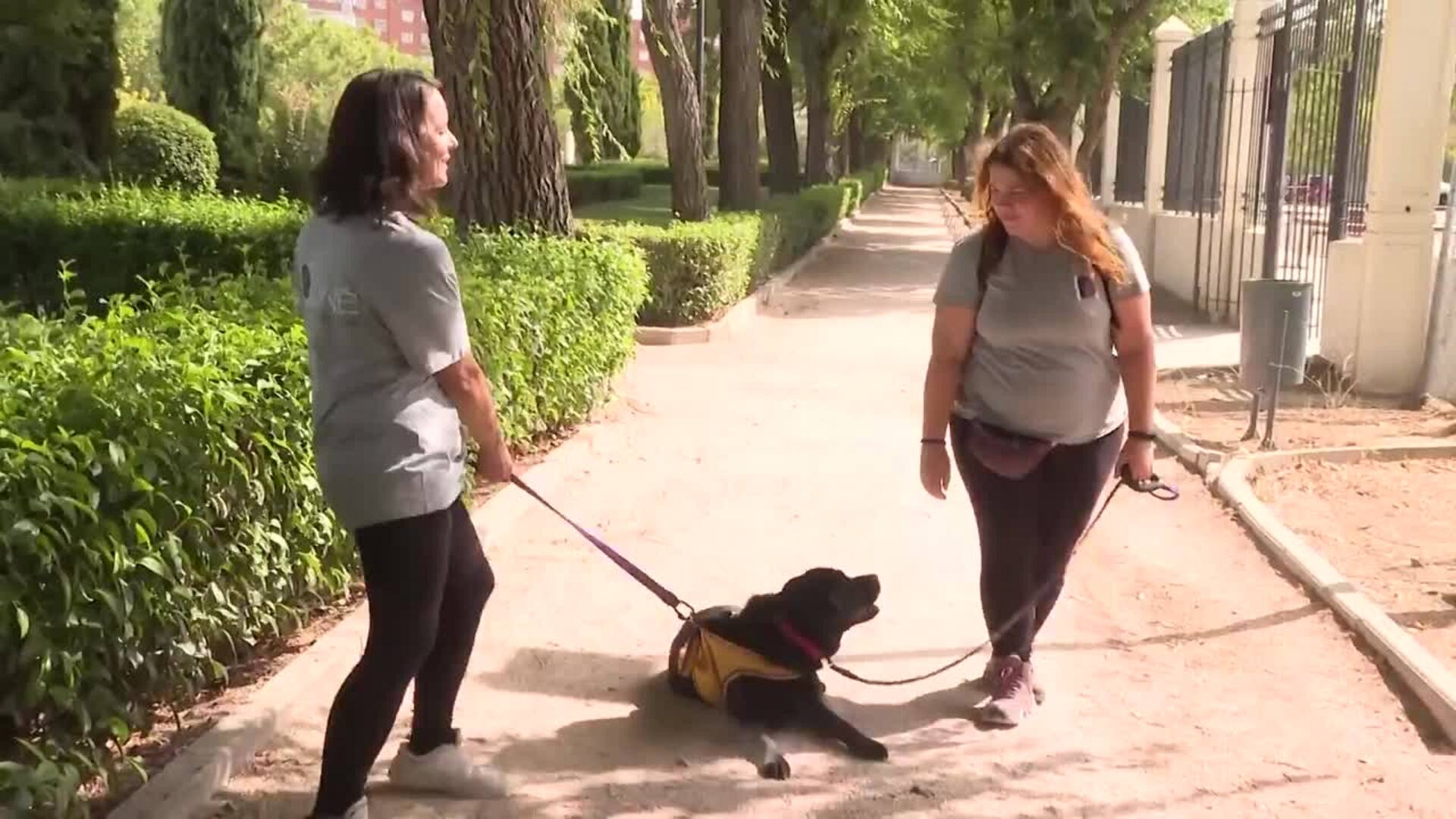 Kuné Perros de Ayuda Social resalta la figura de los perros de asistencia