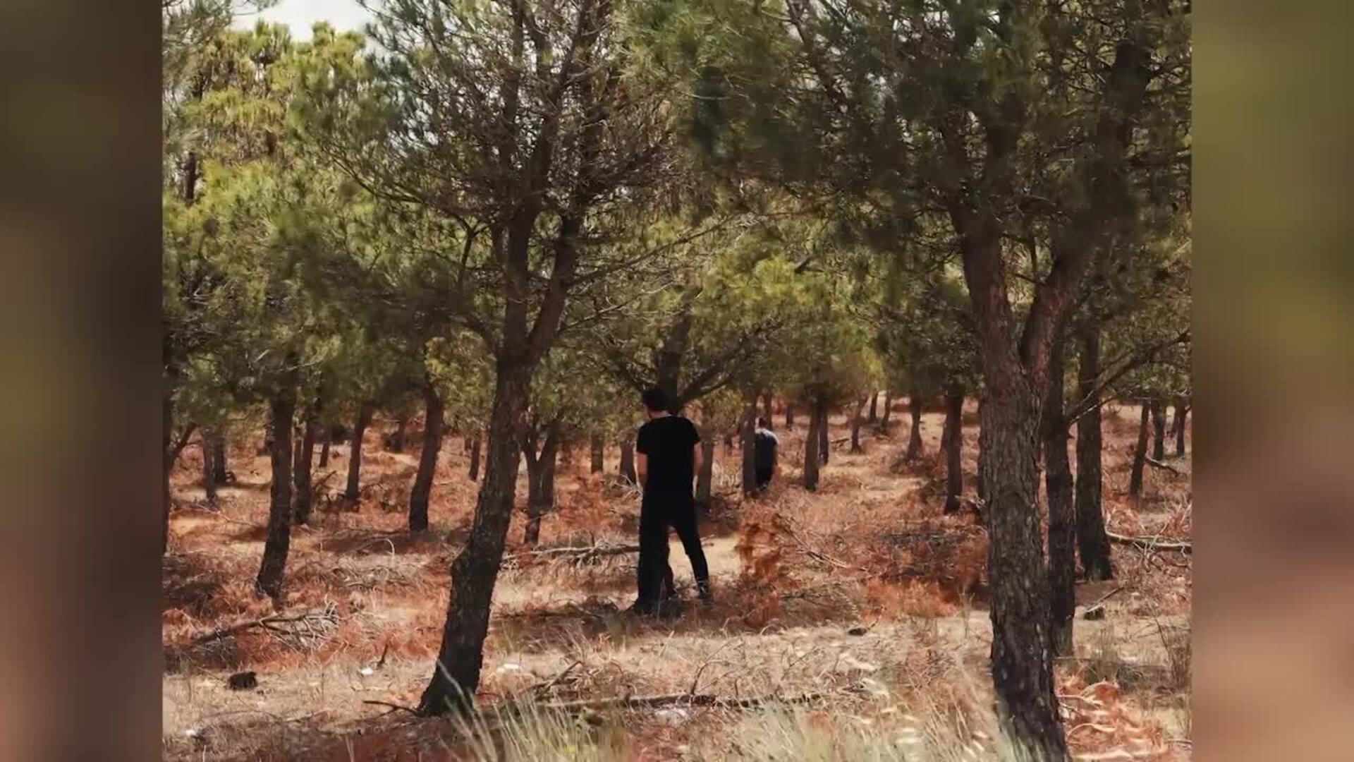 Arde Bogotá anuncia una gira internacional con la que recorrerá 9 países de América y Europa