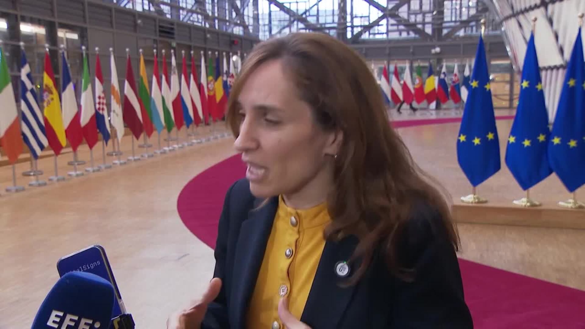 García pide apoyo de "todos los partidos" al plan común contra la gripe