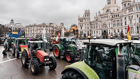 Mercosur: el pesticida que vivimos peligrosamente