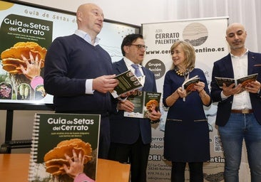 Una guía ensalza la riqueza y potencial de las setas del Cerrato