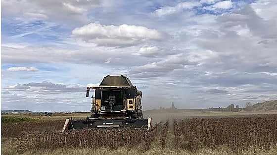 UCCL reclama medidas inmediatas para frenar el impacto del conflicto de Oriente Medio en el campo