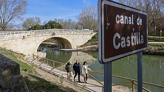 La CHD niega una «tala masiva» en el Canal de Castilla