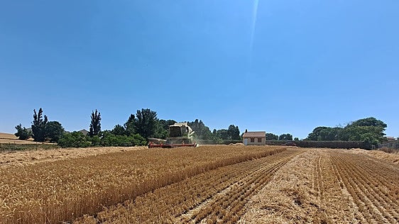 UCCL pide ampliar las ayudas al gasóleo y fertilizantes ante un sobrecoste «muy superior» al cubierto por el Gobierno
