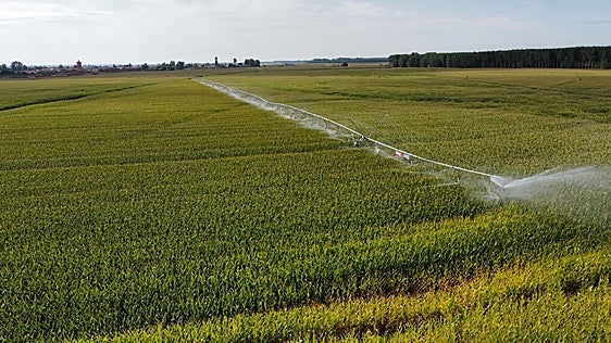 La Junta propone ampliar el regadío en Castilla y León en 43.000 hectáreas