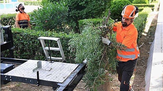 El paro baja en Valladolid a niveles de 2004 mientras el empleo sigue batiendo récords