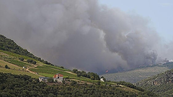 La peor pesadilla vuelve a León: cuatro incendios activos en nivel 1 de peligrosidad
