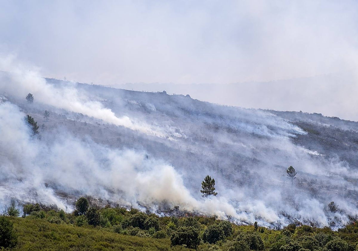 Evacuados los 31 residentes del centro de mayores de Retortillo ante el avance del incendio de Guadalajara