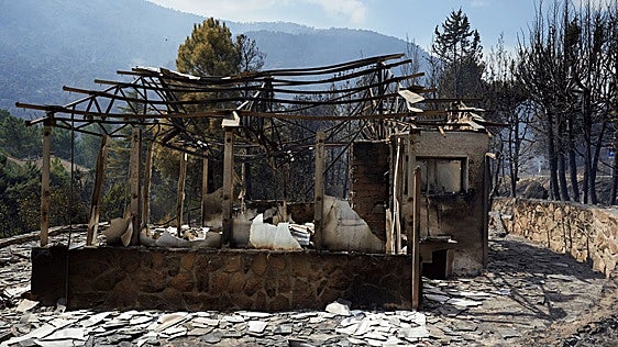 El fuego de Burgohondo sigue su devastador avance con 30.000 desalojados y 8.000 confinados