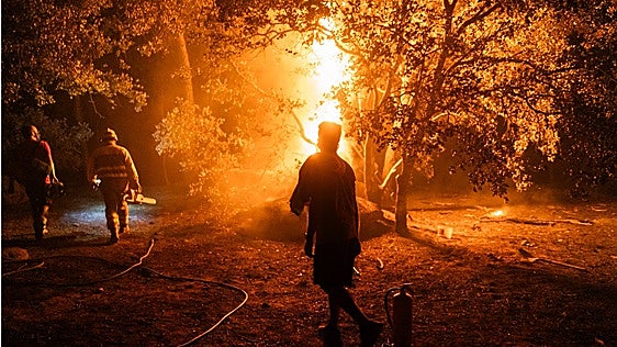 La UME afirma que el frente de los incendios forestales entre Ávila y Madrid «está contenido» y se centra ahora en «ciertas partes»