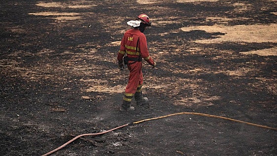 La UME da por contenida la línea de avance del incendio de Burgohondo entre Mijares y Casillas