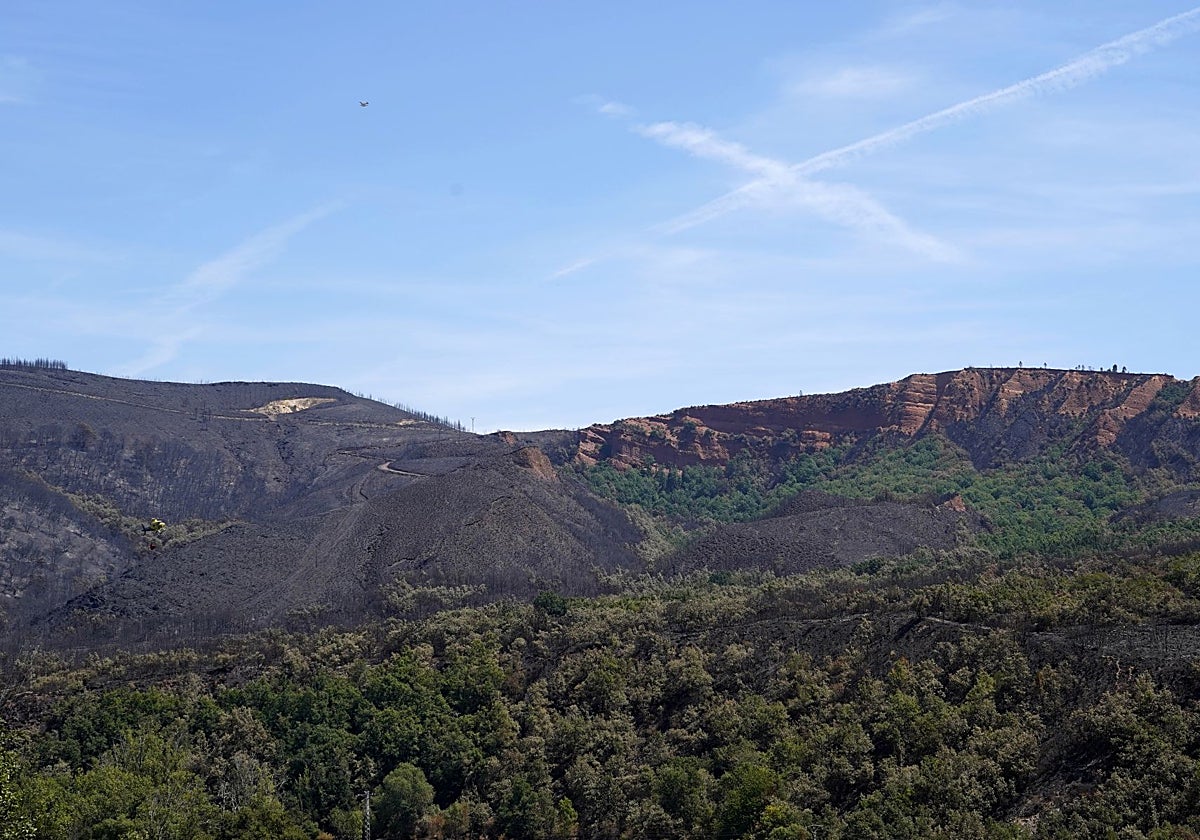El incendio de Burgohondo continúa en nivel 2 mientras los de Veguellina y Fermoselle mejoran su evolución