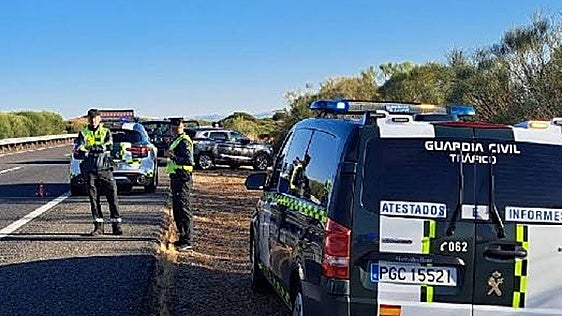 Investigan en Zamora a un padre por permitir conducir una minimoto a su hijo de siete años