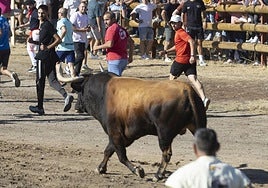 Las mejores imágenes del Toro de la Vega 2026