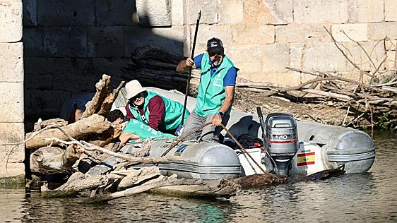 Retiran dieciocho toneladas de troncos que taponaban los ojos del Puente Mayor desde el invierno