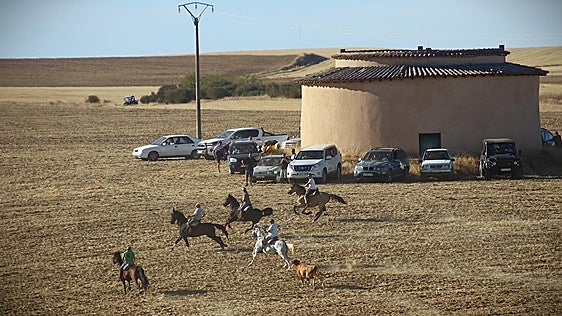 Palazuelo vive un caluroso encierro por el campo con cientos de personas