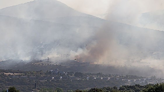 El Espinar y Revenga, un mes después del fuego: la mayor parte de lo quemado fue pasto, monte bajo y encina