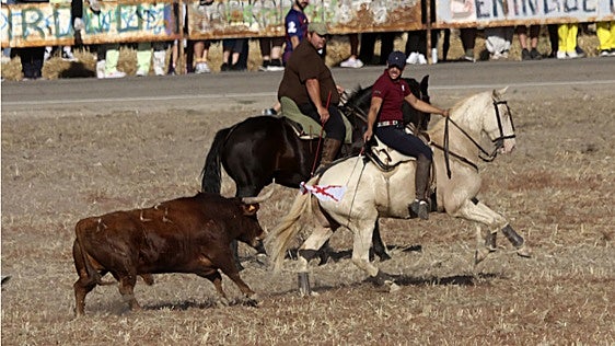 Emoción campera en la Villa del Caballero con los toros de Zahorí