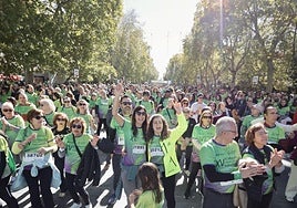 La Marcha contra el Cáncer recorrió ayer las calles del centro de Valladolid.