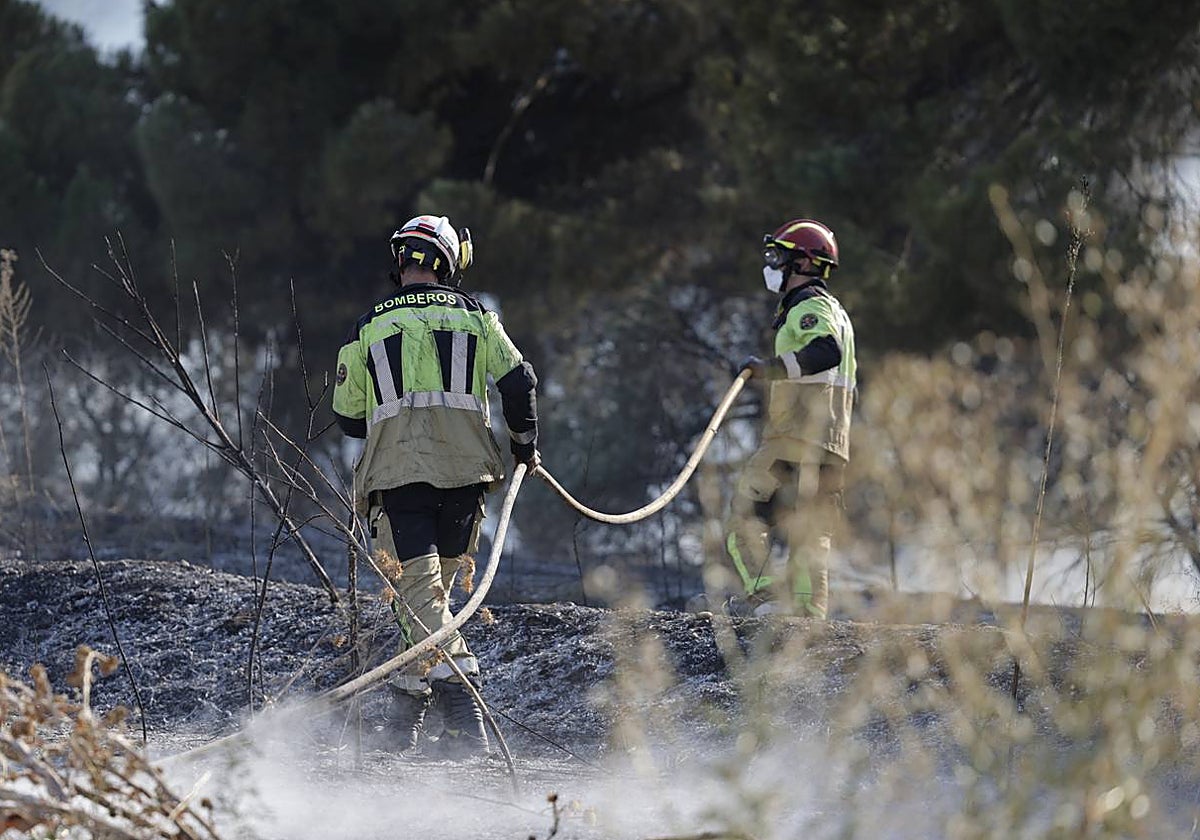 Carlos Aganzo: Fragor, calor y días a la sombra | El Norte de Castilla