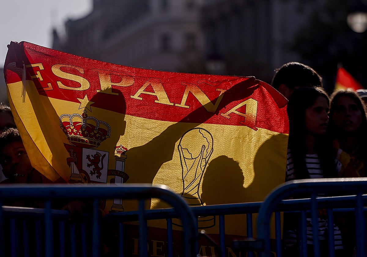 Luis Díaz Viana: Los verdaderos patriotas | El Norte de Castilla