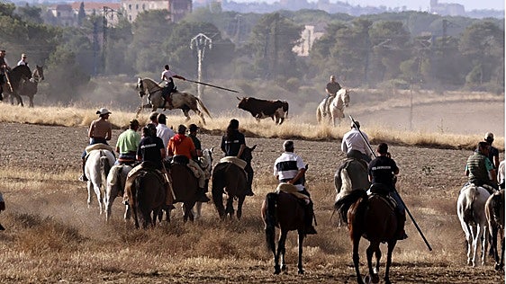 Este es programa de las fiestas de Olmedo: actividades y horarios