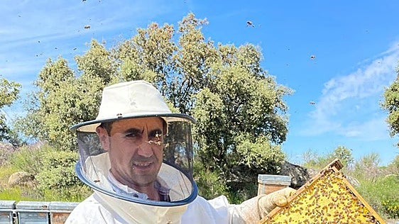La apicultura agudiza su crisis tras la caída del censo y la bajada de producción