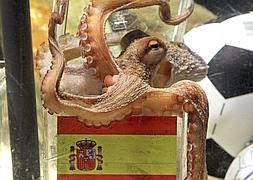Muere el pulpo Paul, el oráculo del Mundial