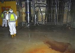 Detectan otra concentración de cesio radiactivo en Tokio