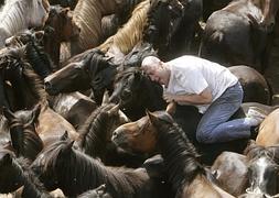 Un "aloitador", en la segunda jornada de la "Rapa das Bestas". / Efe | Vídeo: Atlas
