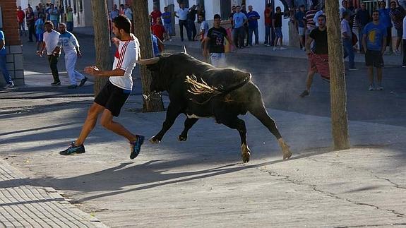 Encierros de Villaseca de la Sagra.