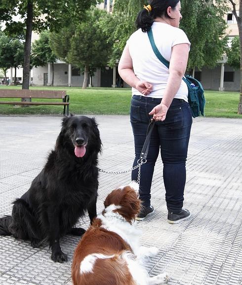 Los clientes aportan datos sobre su estilo de vida en la web.