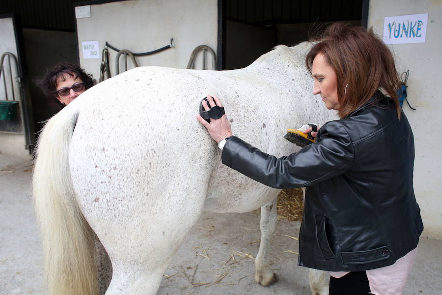 Imagen de una terapia con caballos para afectados de EM en la Hípica Zelai Alai de Iurreta.