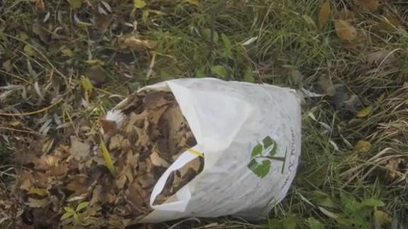 Paneles solares hechos de pasto.