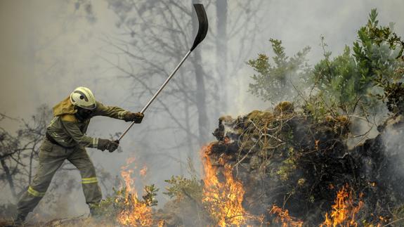 Un brigadista lleva a cabo labores de extinción de un incendio en Orense.
