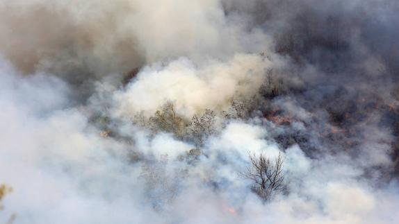 El fuego de la Tebaida baja a nivel 1 ya que no hay poblaciones en riesgo, pero aún no está controlado