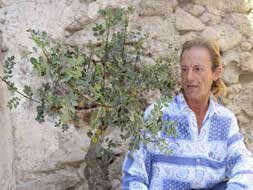 Bonsais centenarios en Villavieja de Yeltes