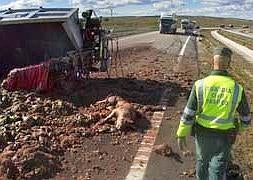El vuelco de un camión en Carpio de Azaba obliga a cortar el tráfico