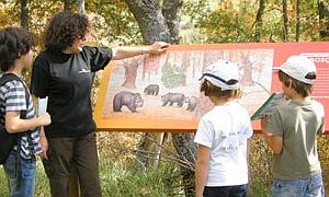 La Casa del Oso reabre sus puertas en Verdeña