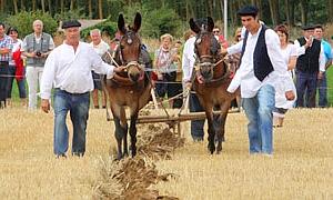 La Fiesta de la Trilla / Merche de la Fuente